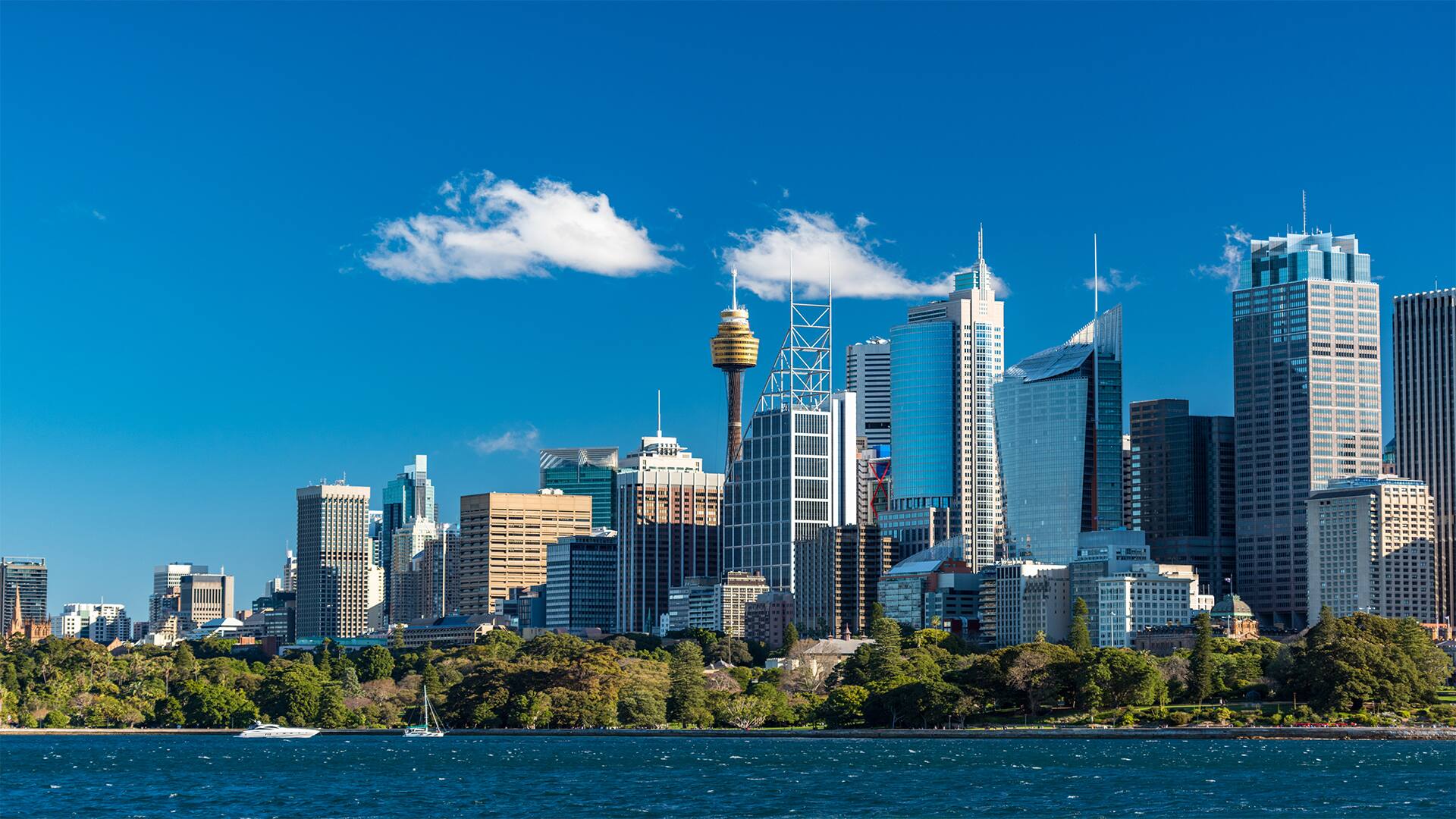 Hop On Hop Off- Sydney- Debark